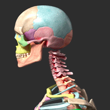 診療情報管理士の認定試験の受験勉強で基礎課程２章の暗記項目