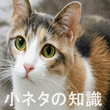 診療情報管理士の認定試験で役に立つ小ネタ的な知識のまとめ